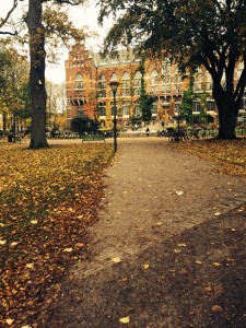 Lunds Universitetsbibliotek på hösten UTAN filterr