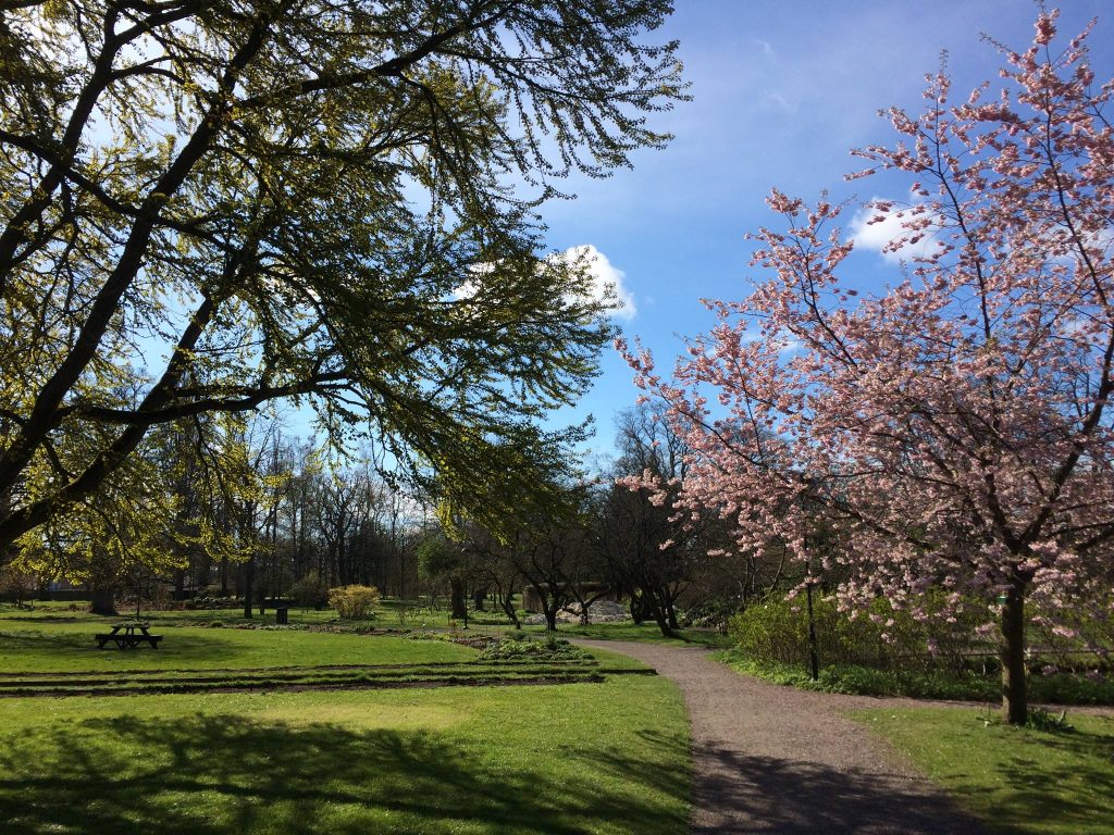 Botaniska trädgården i Lund
