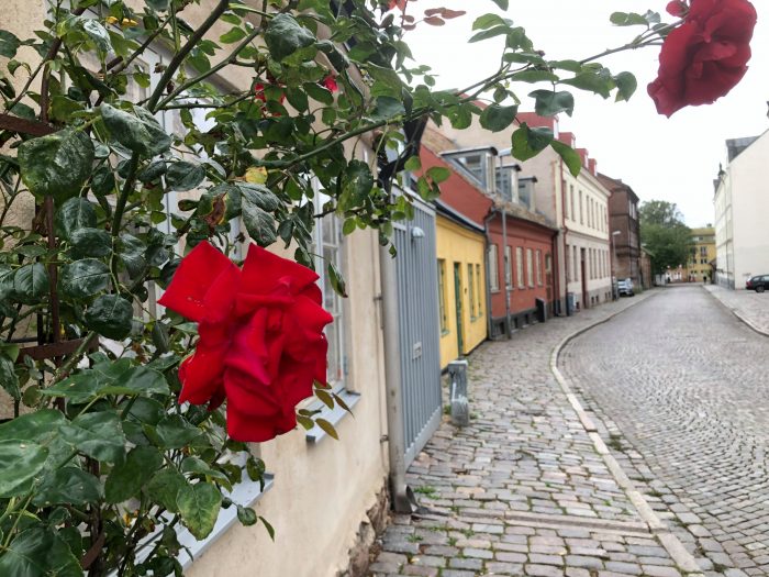 Dejtingtips: Guiden till en rolig dejt i Malmö