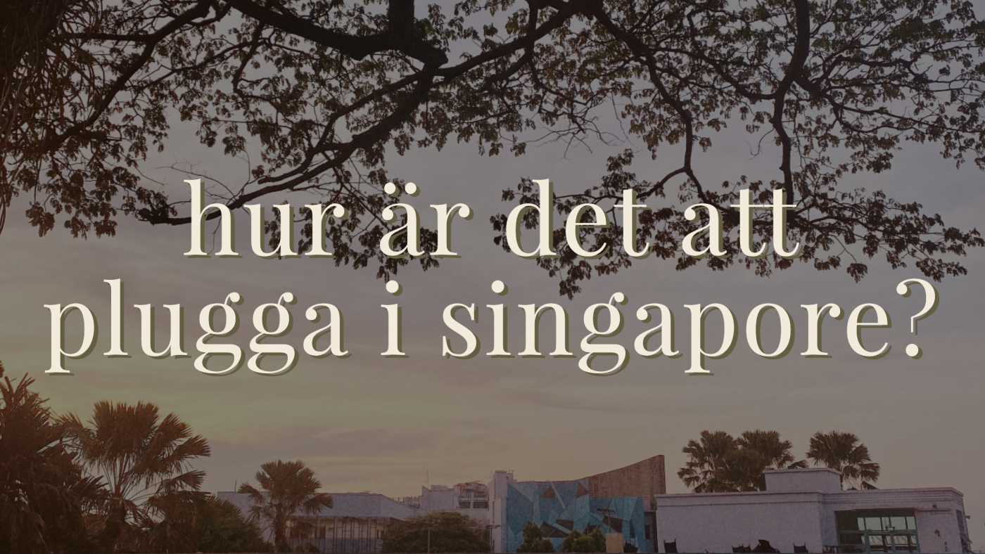 Hur är Det Att Plugga I Singapore? – Lundastudent