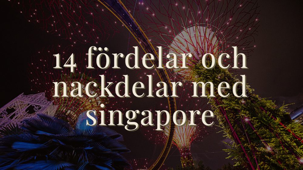 14 fördelar och nackdelar med Singapore