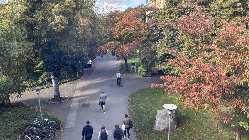 Bild från ett fönster på campus paradis där flertalet studenter går.