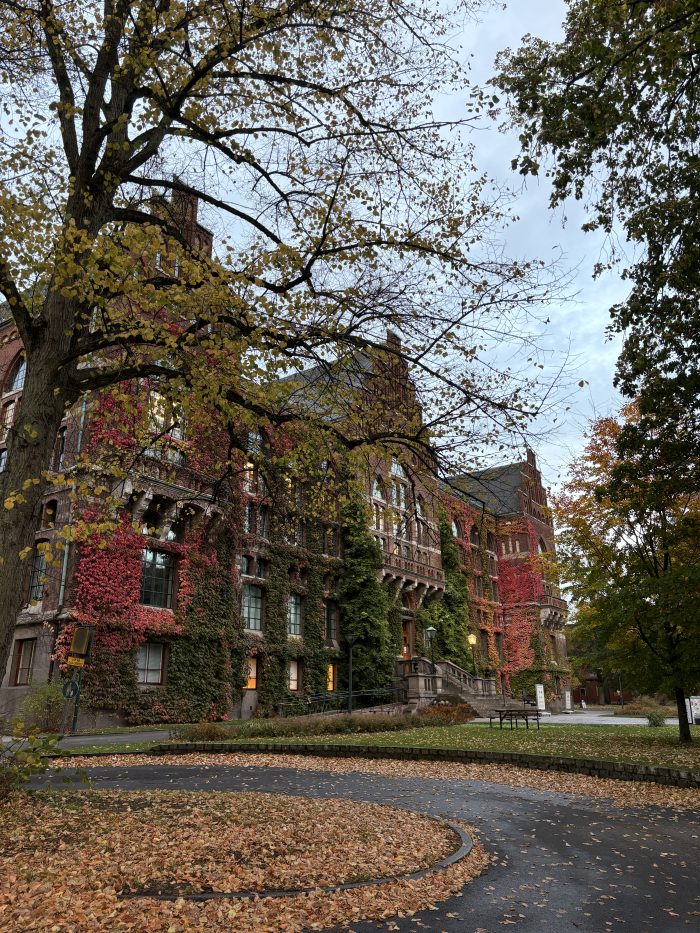 En bild på sidan av universitetsbiblioteket under hösten. Flera röda och orangea lov på marken.
