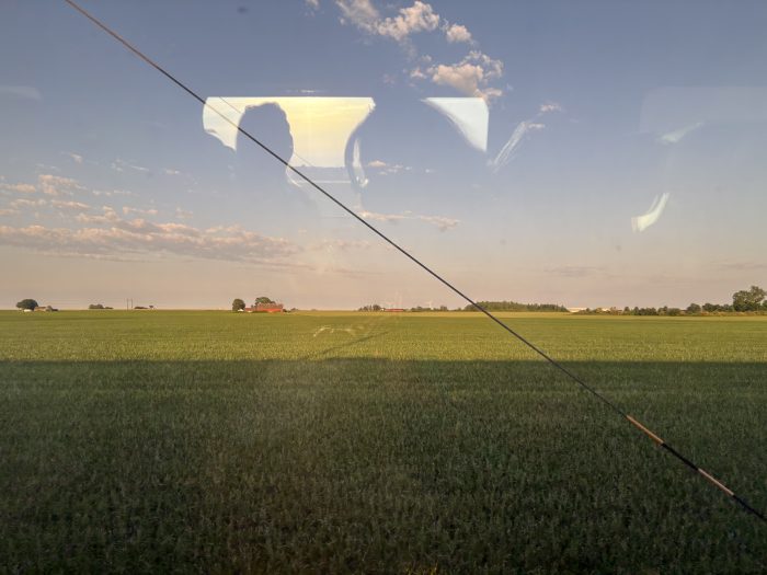 Skånska fält under sommaren från tåget.