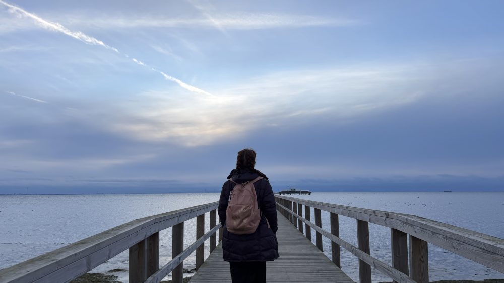 En kvinna som tittar mot horisonten på Bjärreds långbrygga.
