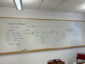 Här ser ni lite tenta plugg inför första tentan!