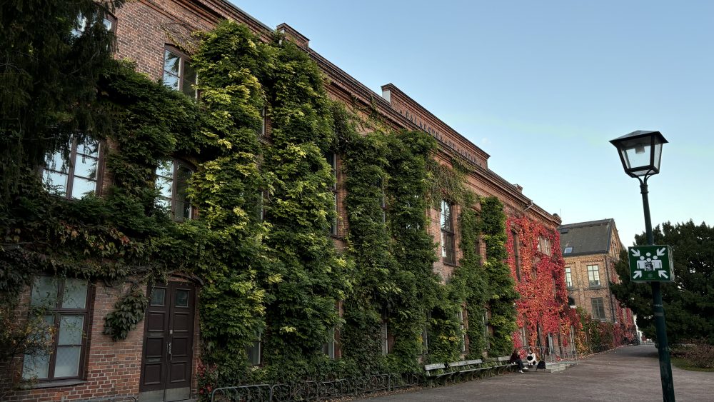 Bild utanför Palestra där grönska växer på väggarna