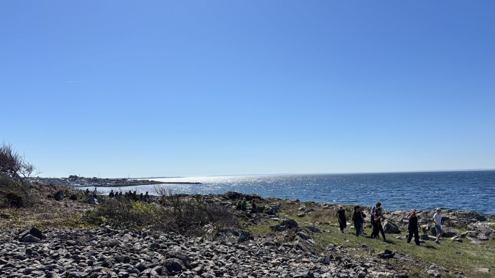 Bild på havet vid Mölle
