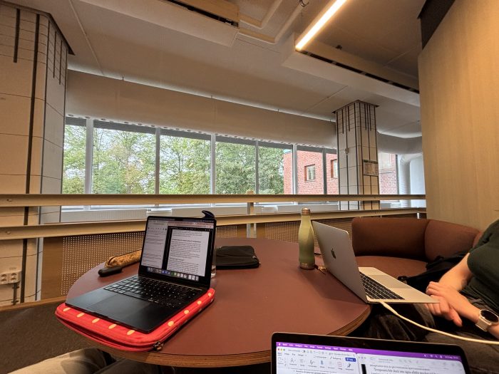 Studerar med kompisar på Universitetsbiblioteket.